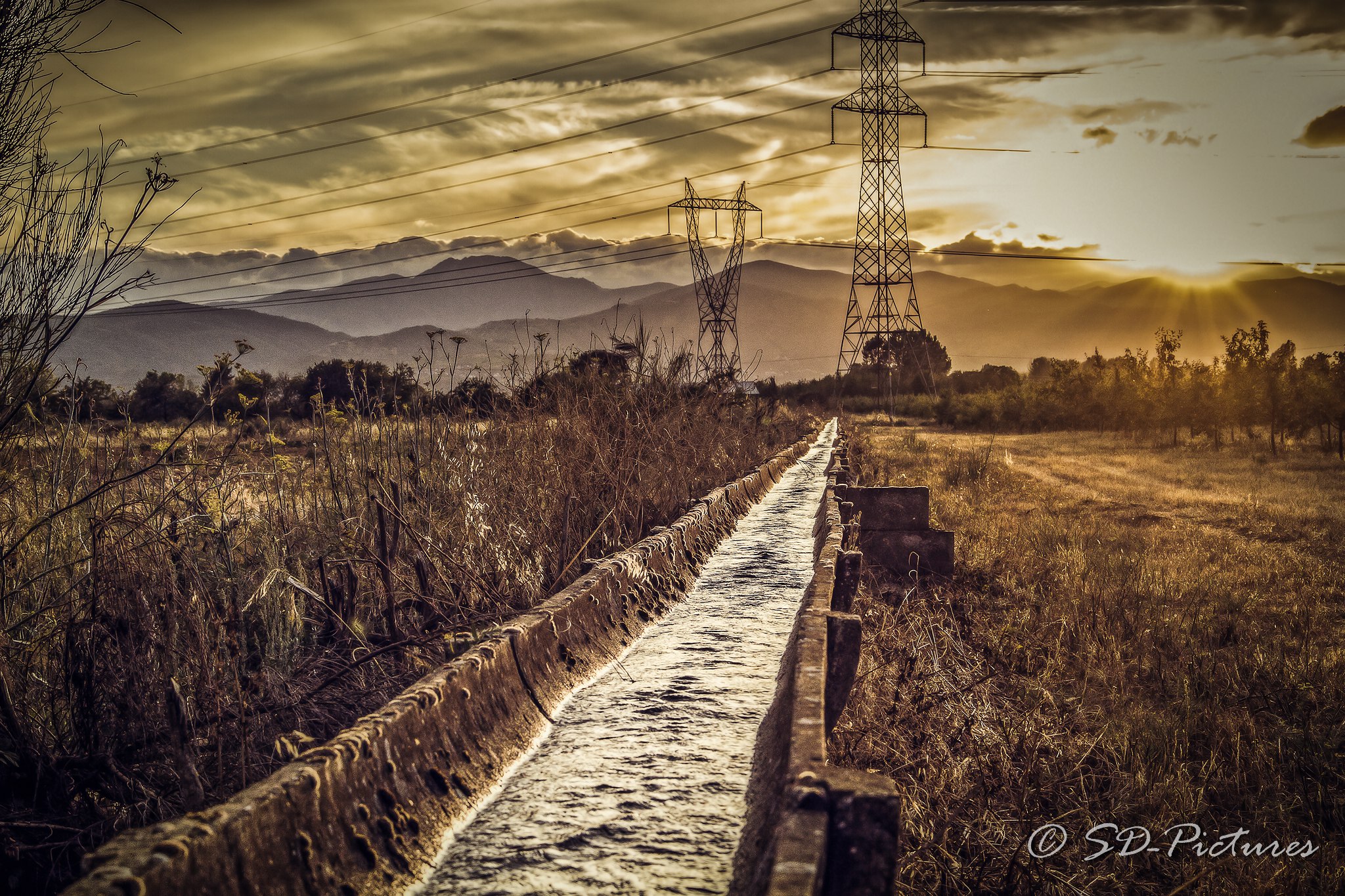 WEB France Feld2 Kopie